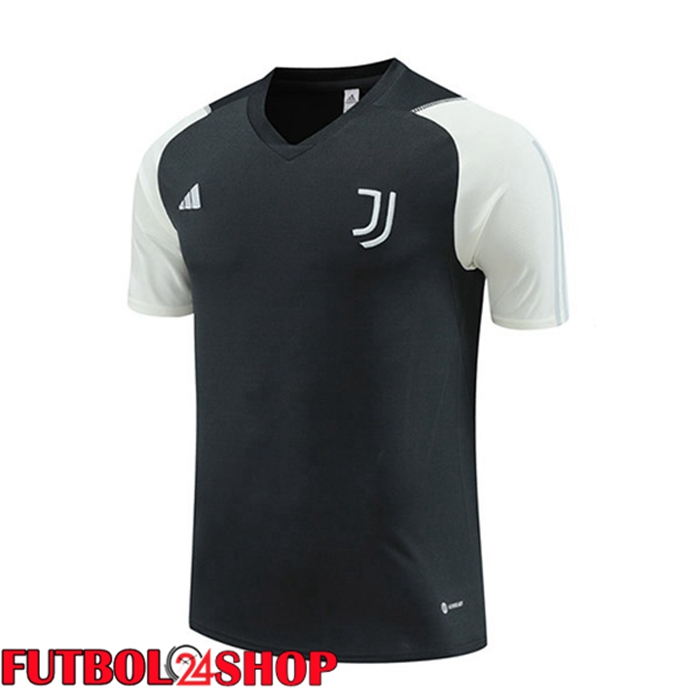 Camiseta Entrenamiento Juventus Gris 2023/2024