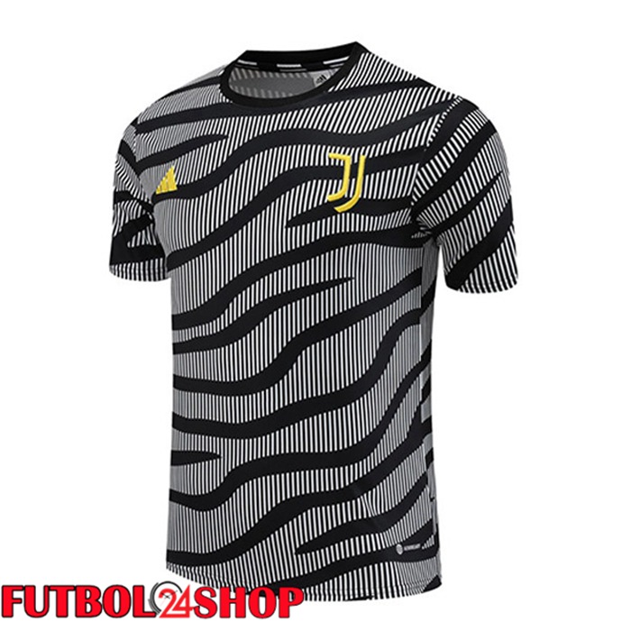 Camiseta Entrenamiento Juventus Negro Gris 2023/2024