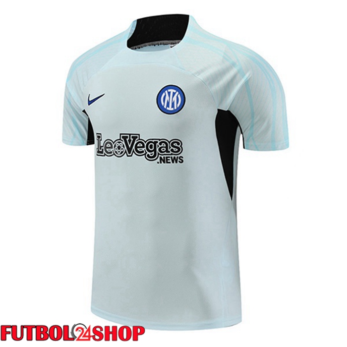 Camiseta Entrenamiento Inter Milan Gris 2023/2024
