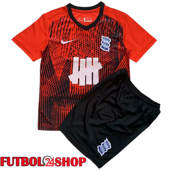 Camisetas De Futbol Birmingham City Ninos Segunda 2023/2024