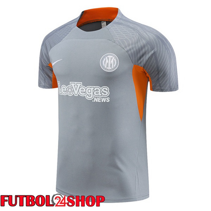 Camiseta Entrenamiento Inter Milan Gris 2024/2025