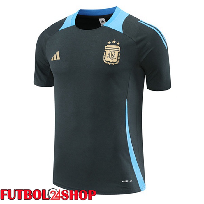 Camiseta Entrenamiento Argentina Gris 2024/2025