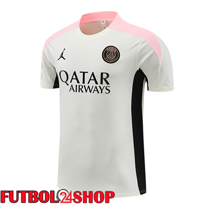 Camiseta Entrenamiento Paris PSG Gris 2024/2025