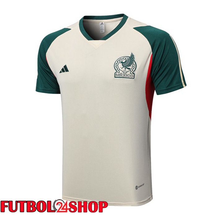 Camiseta Entrenamiento México Marrón 2023/2024